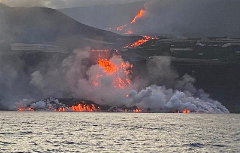 lava la palma peces