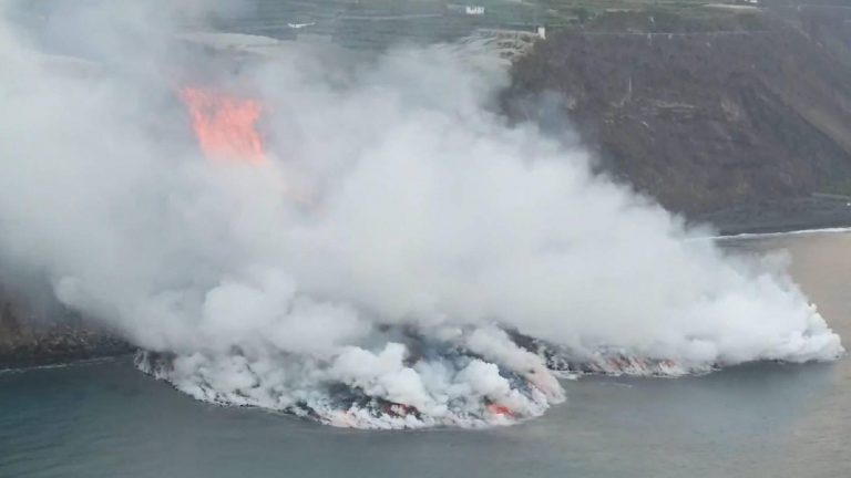 Los peces tras la lava del volcán de La Palma