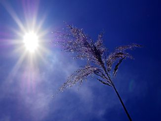 pueblo calor