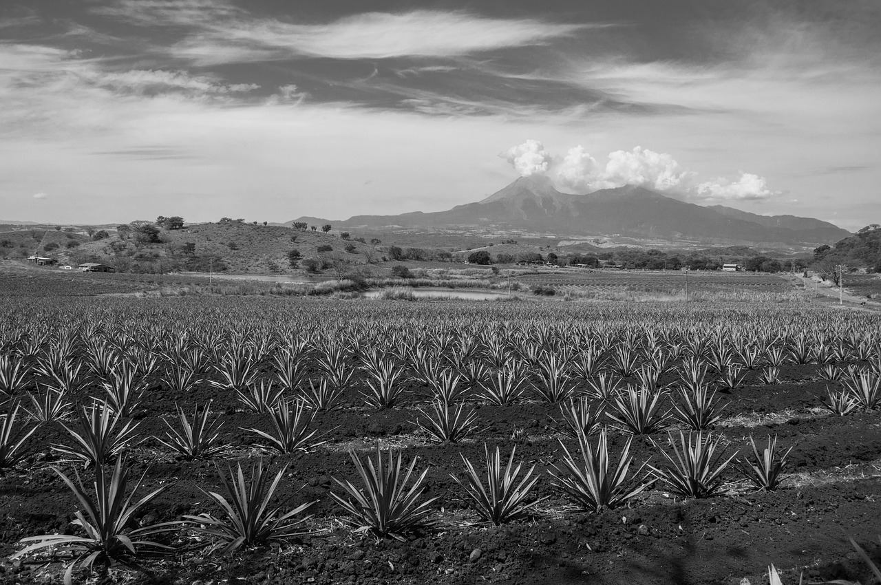 volcan de colima