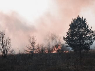 incendios-forestales-ultima-decada