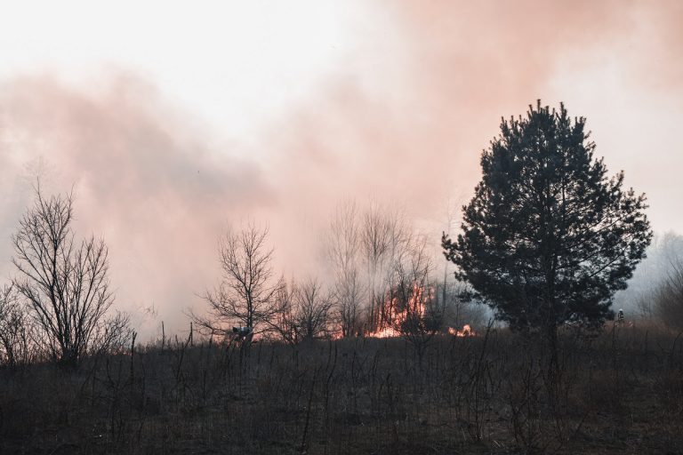 incendios-forestales-ultima-decada