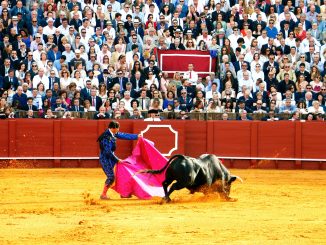 toros-bono-cultural