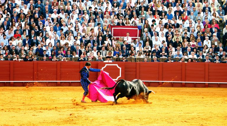 toros-bono-cultural