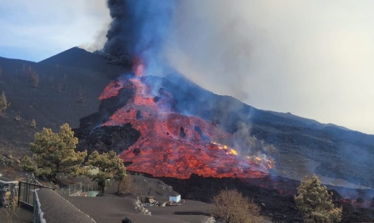 Volcán La Palma hectáreas afectadas