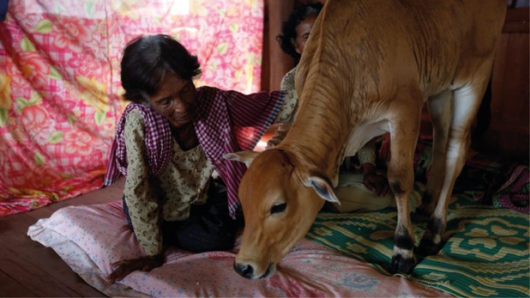 Mujer Vaca Camboya