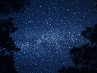 lluvia de estrellas leonidas