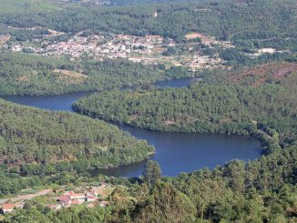 ourense-quemo-cadaver