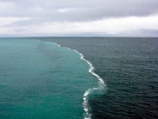 Pacífico y Atlántico no se mezclan