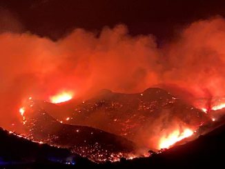 incendio forestal Roses