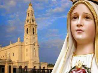 profecia medjugorje 2019