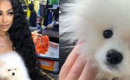 Yailín, la más viral presenta su nuevo perro de raza pomerania