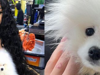 Yailín, la más viral presenta su nuevo perro de raza pomerania