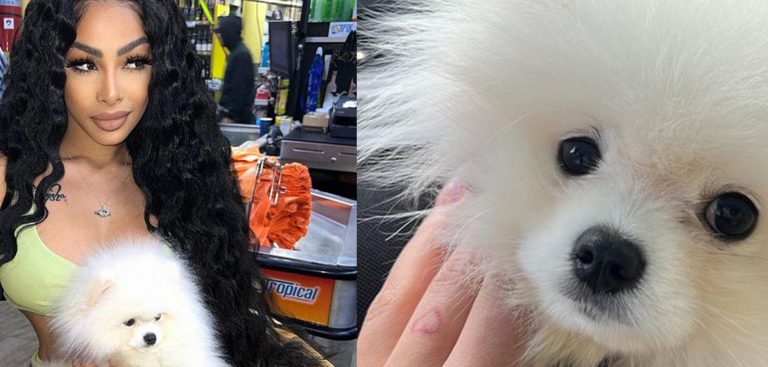 Yailín, la más viral y su perro pomerania