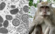 belgica cuarentena viruela del mono