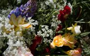 coranas flores online