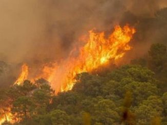 incendio tenerife