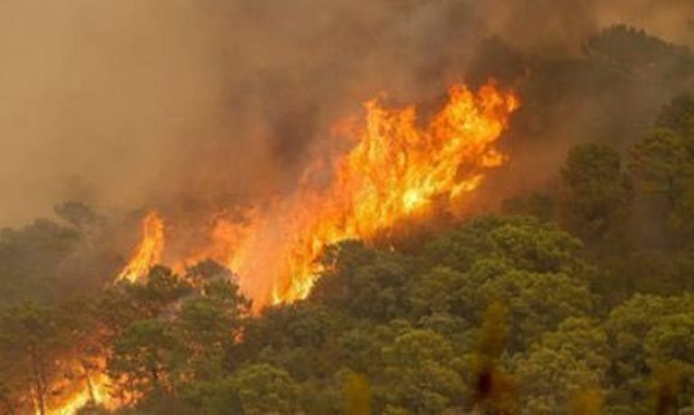 incendio Sierra Bermeja Málaga