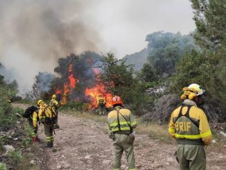 incendio Zamora