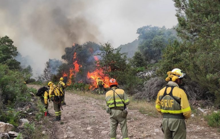 incendio Zamora