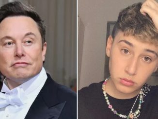 Elon Musk hija quién es