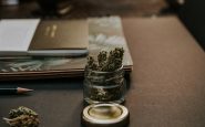 regulación cannabis medicinal