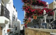 brote vírico Almería