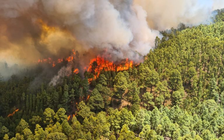 incendio Tenerife