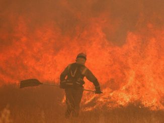 incendio Zamora