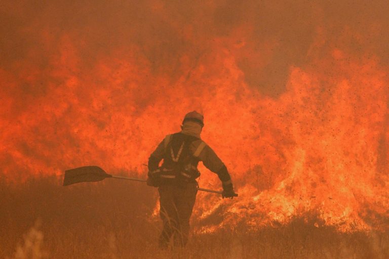 incendio Zamora