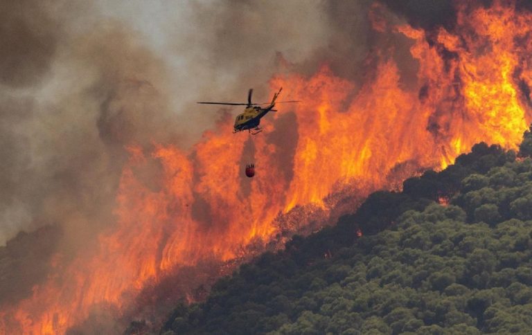 segunda víctima incendio Zamora