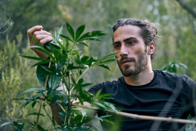 young-caucasian-man-taking-care-of-the-large-cannabis-plants-in-the-garden (1)