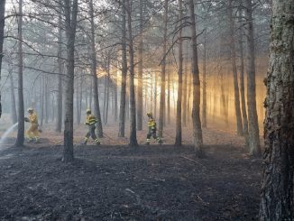 Pedro Sánchez incendio Bejís