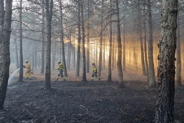 Pedro Sánchez incendio Bejís