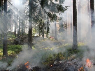 Galicia incendios