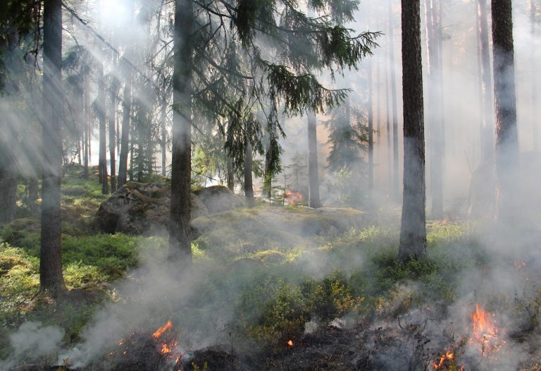 Galicia incendios