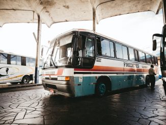 conductor autobús dormido