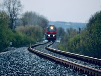 pasajera muerta tren