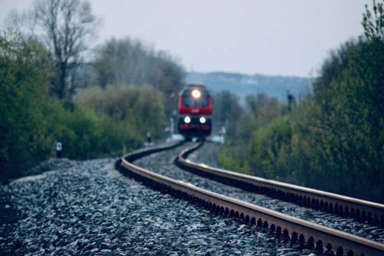 pasajera muerta tren