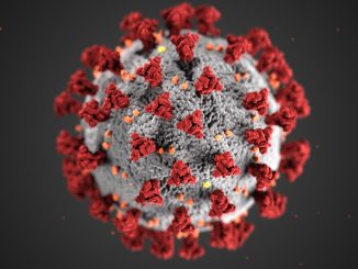 virus sincital respiratorio