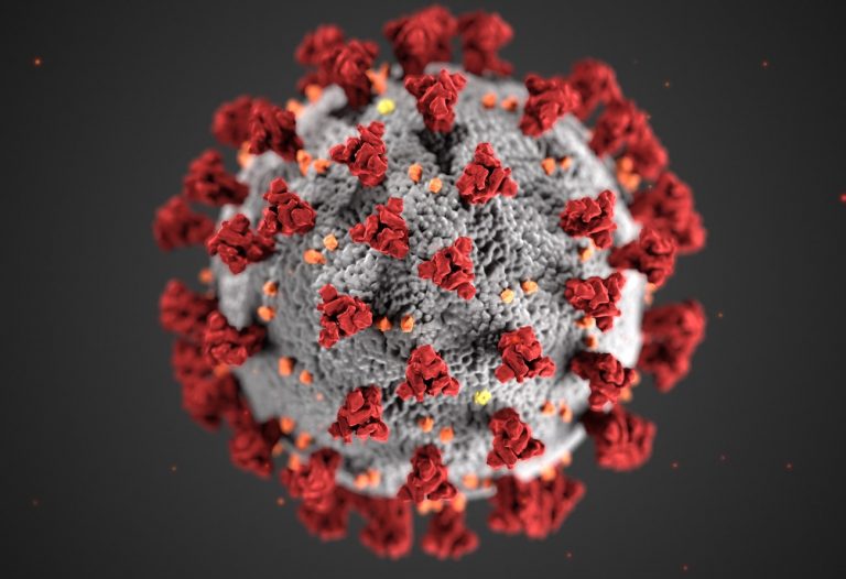 virus sincital respiratorio