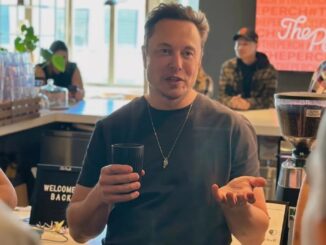 Elon Musk chips cerebro