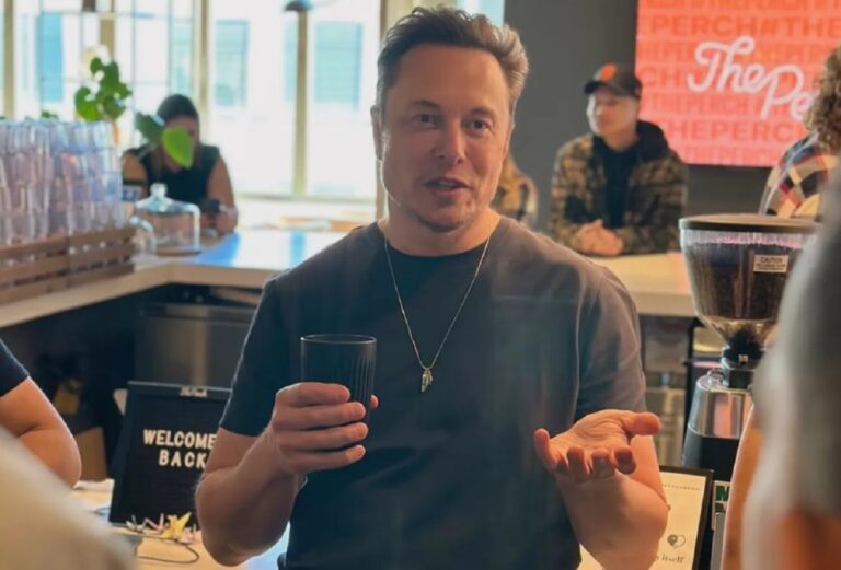 Elon Musk chips cerebro