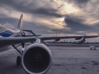 azafata muere avión