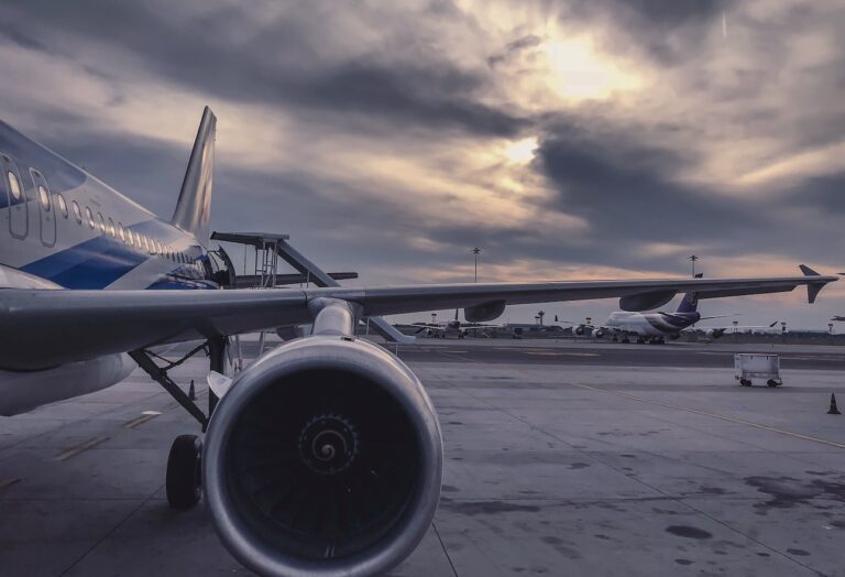 azafata muere avión