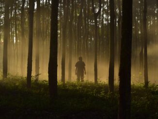 muere hombre árbol