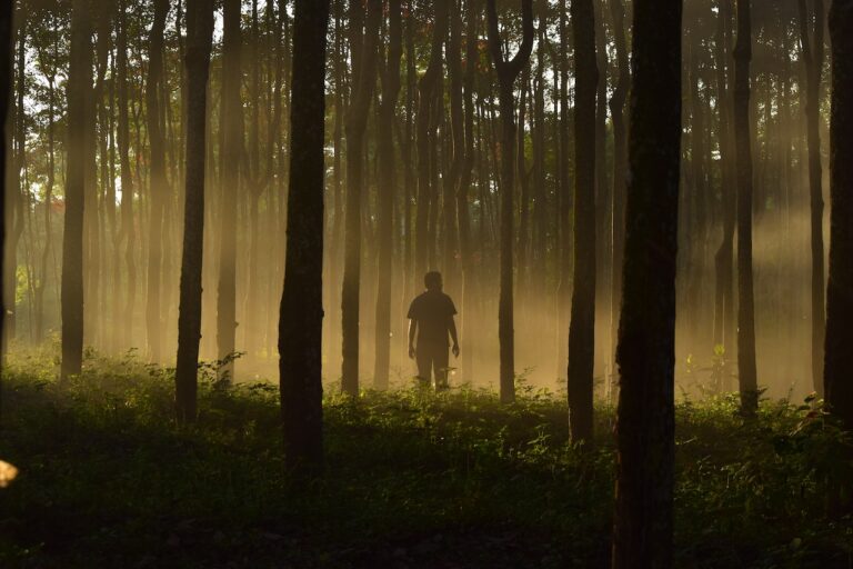 muere hombre árbol