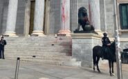 activistas Congreso Diputados