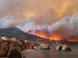 incendios argelia