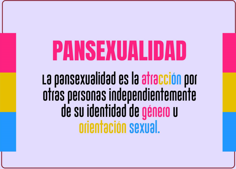 pansexualidad qué es